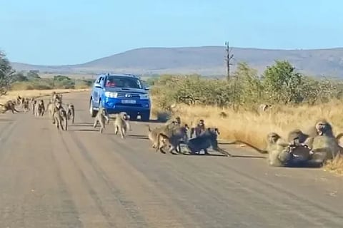 video