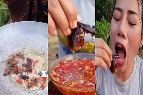 video viral
