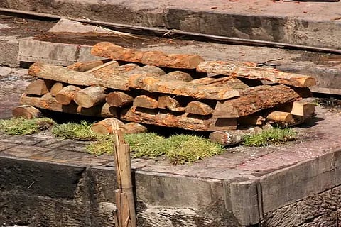 wood