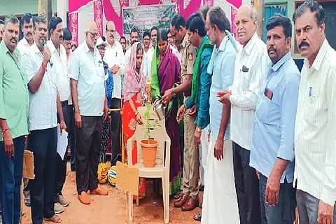 04 DAMBALA