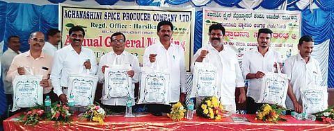 10sdp2- Mankal and Bhimanna naik