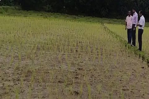 14 tth 03