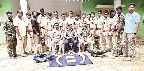 29hgr1