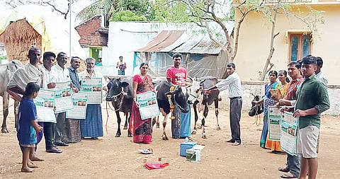 30 KURUGODU 4