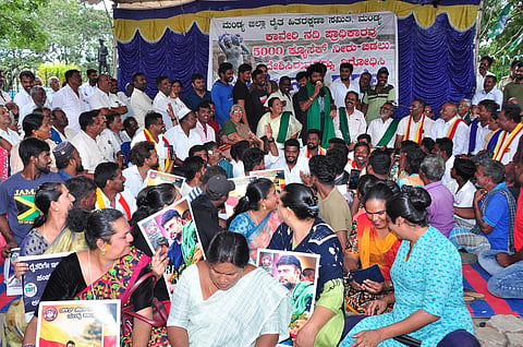 Actor Prem supports Cauvery protest
