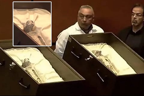 Alien Corpses