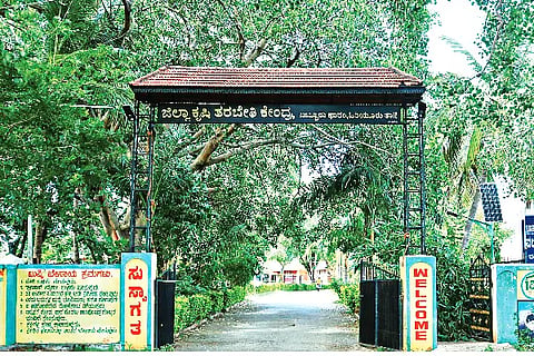 BABBURU KRUSHI VIJNANA KENDRA