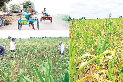 Ballari District Bara