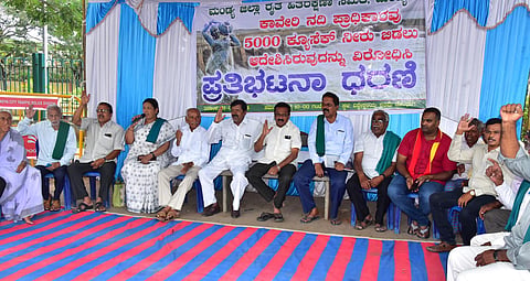 Cauvery protest