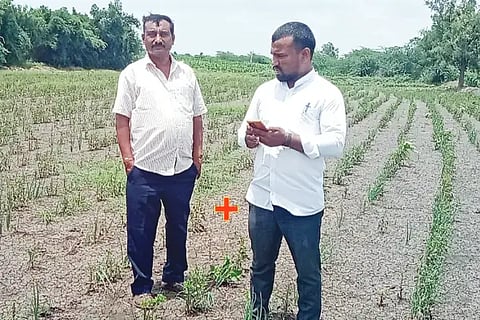 Crop loss Survay
