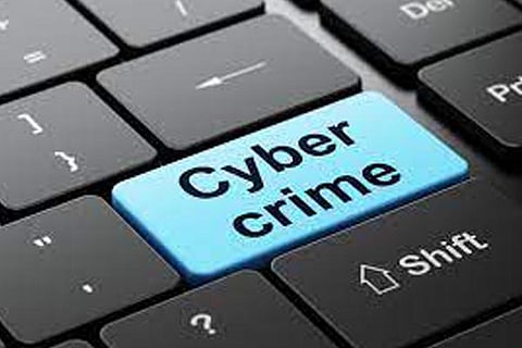Cyber Crim