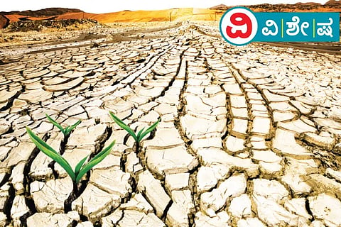 Drought (2)