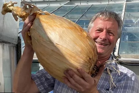 Giant onion in line for world record