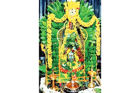 HYR tmpl 11