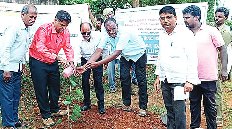 JLR ph 2 Sep 8 Inter National Day-