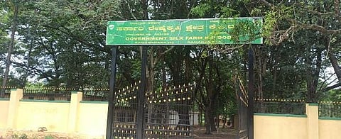 Ramanagara KP doddi silk fram