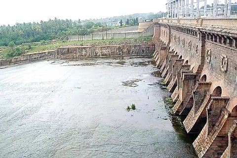 Kaveri (4)