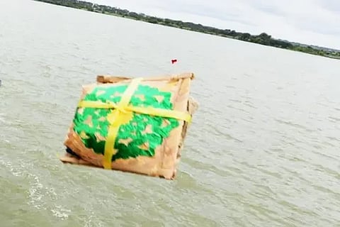 Kaveri Bagina