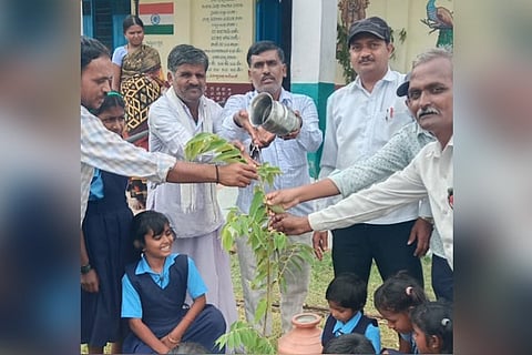 Kukanour plantation