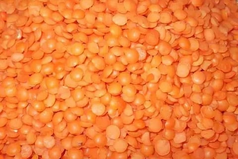 Masoor Dal