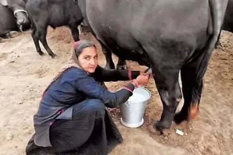 Meet woman who never attended school built dairy business in her 60s earned over Rs 1 crore yearly her success story