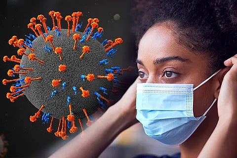 Nipah Mask