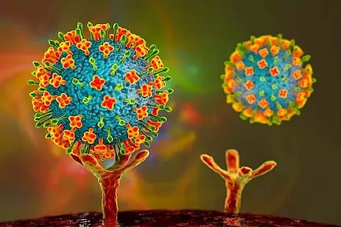 Nipah Virus