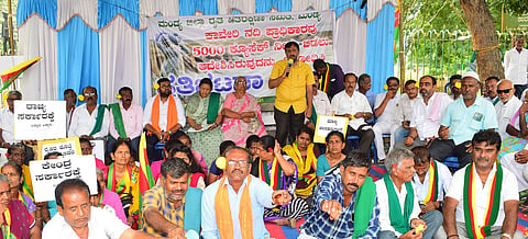 PET President Vijayananda supports Cauvery protest mandya