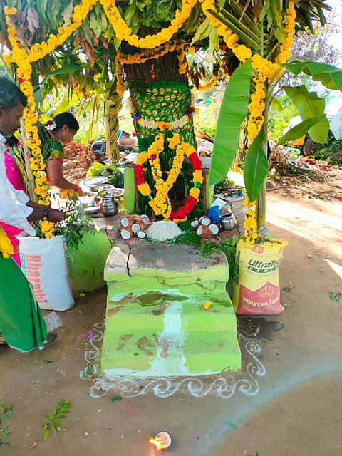 PRPURA MAARIHABBAA 26,