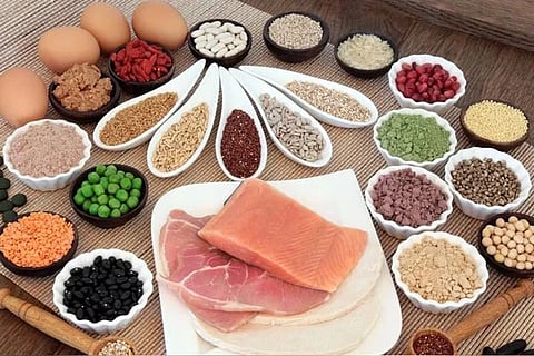 Protein Food