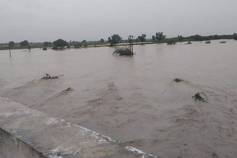 RAIN KKNR
