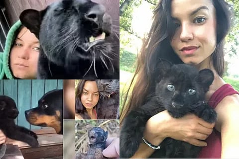 Russian Woman Rescues Baby Panther Mistaking It For A Cat
