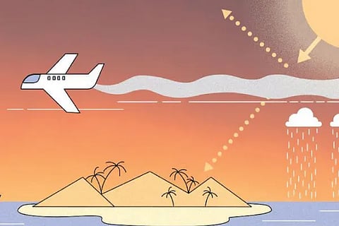 Sea Flight