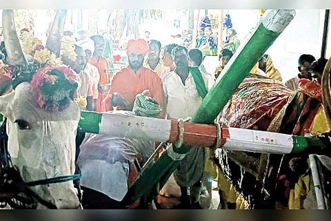 Seeds Sawing Drive Alavandi