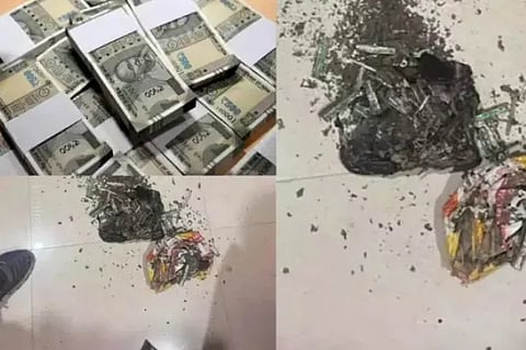 She Opened Bank Locker After A Year Termites Ate 18 Lakh Cash She Stored