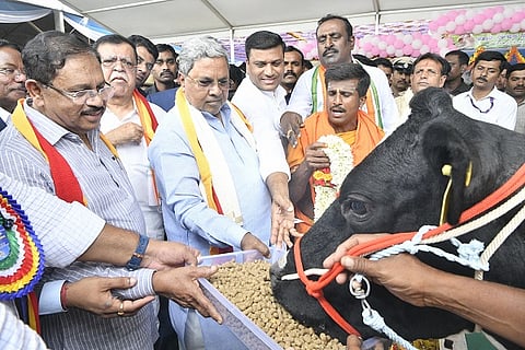 Siddu_Bharatha