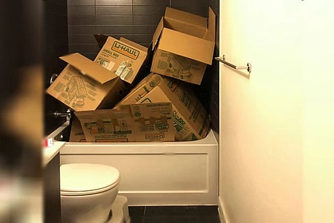 Spot the cat 00