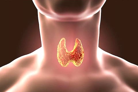 Thyroid Healthy