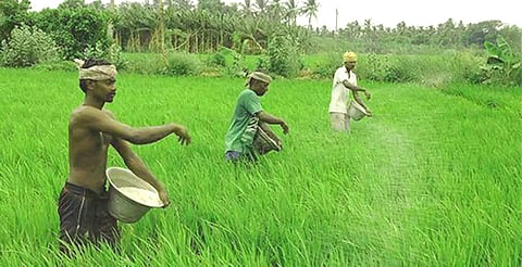 agriculture