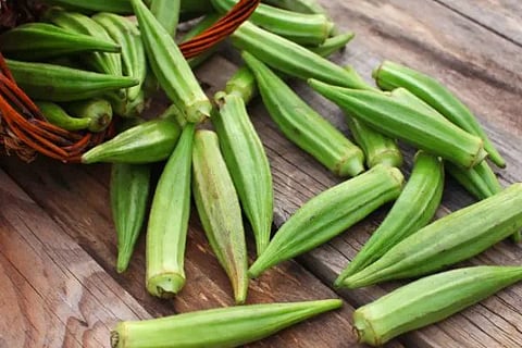 bhindi (1)