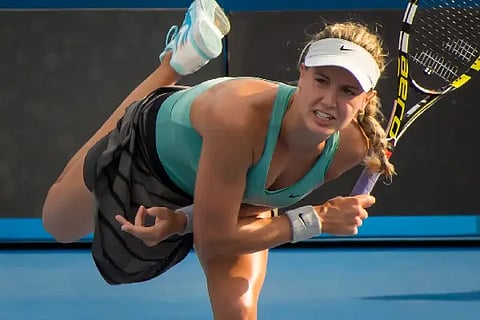 bouchard web