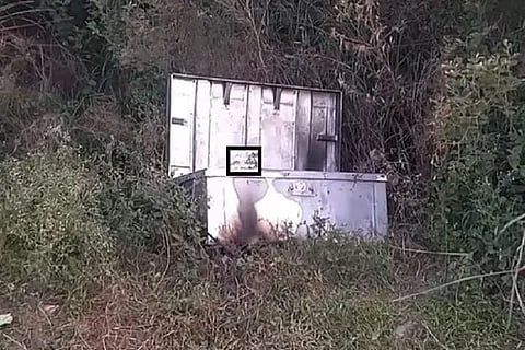 box