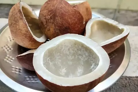 coconut