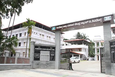 dcc bank