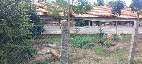 Four migrant workers died