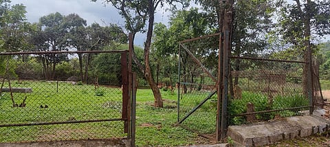 15 deer die bannerugatta