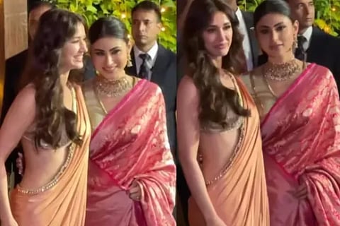 disha (1)