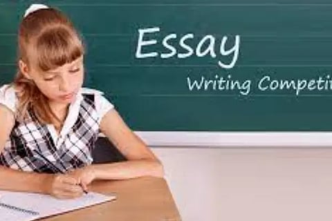 essay