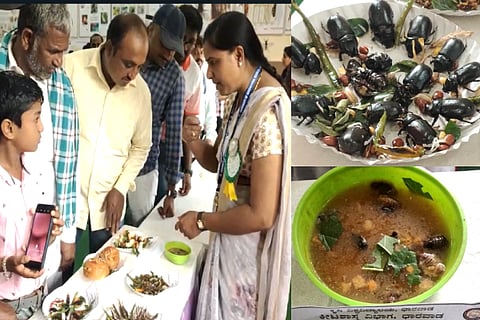 insect food
