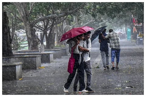 rain7